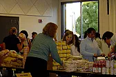 Tomato deluge  |  So, you don't just let the dogs decide the varieties of volunteers like  I...