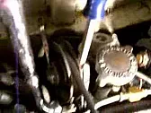 Driving a vertical shaft |  You cannot see a V-belt doing it because they prefer to do it in darkplaces like...
