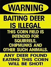 Eat mo' squirrel  |  I have trapped hundreds of squirrels using a Hav-a-hart squirrel trap. Trap s...