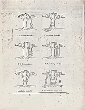 New Bandsaw - (NEW new) |   >  >> On 8/14/2019 3:09 PM, Bob La Londe wrote:> I got suckered in by some  >>...