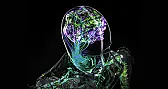 Video Card Driver  | &laquo; previous thread