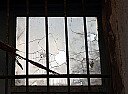 [Quite OT:] Roaches! | next thread &raquo;