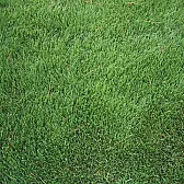 Any suggestions on depicting grass  |  I did this once with the original PhotoWorks (from SW2000).  You canfind the...
