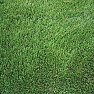 Any suggestions on depicting grass  | next thread &raquo;