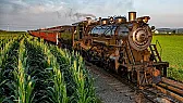 Tender First Query  |   > On my Welsh narrow gauge model I din't need to concern myself about >...