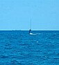 Model Balsa Wood Kits  |  Considering what marine Teredo worms can do to solid oak hulls, I'd hate to...