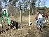 Drill depth vs. cut tap depth in blind hole |  PV: I generally make the cut tap depth 2/3 of the drill depth for blind holes. ...