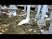 niewspółosiowość - żaden proble |  Na to idzie instalacja tysiąc razy sztywniejsza od tej konstrukcji. Tego nikt...