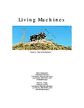 Demystifying BEAM technology; Implicit Control; Synchronization In Nervous Nets; Alternative Ring Topologies; Periodic motion and Walking Control  |  Hi, I was thinking of posting the text bellow as a commentary on arobotics page...
