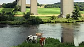 110-kV-Abzweig  |  Tach, gestern bin ich mal wieder an der Stelle vorbeispaziert, an der der...