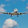 Best tailplane  |      snipped-for-privacy@webtv.net (Bill Sheppard) wrote innews:   ...