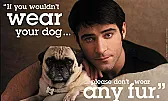 Totally off topic:  Peta certainly doesnt care about saving animals  | next thread &raquo;