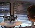 C-R-M: pretty cool hexapod video ... |  Pretty cool hexapod face tracking video. Very...