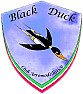aereo a reazione  |  Ma cerchi un aereo a reazione o a ventola intubata  ???Conosco un paio di amici...