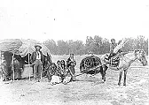 Which takes less energy?  Pulling a load or carrying it?  |  I guess I'm thinking more in the case of a farm implement.  For...