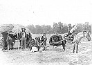 Which takes less energy?  Pulling a load or carrying it?  |  I guess I'm thinking more in the case of a farm implement.  For...