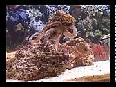 This is WAY cool...  | &laquo; previous thread