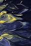 MARF-III and October Fly III RESCHEDULED Nov 1-2, 2003  |  St Louis Rocketry Association has decided to postpone our two daylaunchand NAR...