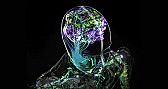 Which is better ? nVidia Quadro4 700XGL or Quadro FX 500 ?  |  I need a card for and Catia v5r12, Pro/EngineerWildFire 2.0 and SW 2005 .We do...