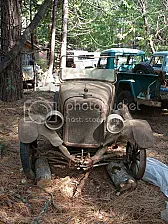 We'll just check that old fuel pump and -- eew! |  Hey Bill, look what i dragged home...