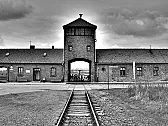Re: Warum bombardierte Stalin die Gleise nach Auschwitz nicht?  |  Kolthoff zitierte folgendes"...Die Fotografien stammen von einem etwa...