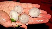 Most incredible hail storm (pictures)  |  Today, we had the most inredible hail storm that I ever remember.  We saved a...