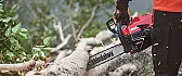 Chainsaw recommendations |  HUSKY, HUSKY HUSKY or a HUSKY in no special order......I have 9 Husky;'s and...