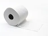30 signs that the US economy is about to go into the toilet   |  31. The foreign born fascist got reelected.  ...