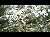 Forklift licenses and such  | next thread &raquo;