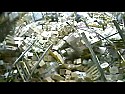 Forklift licenses and such  |  I thought that it was a Russian vodka warehouse....