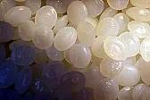 An interesting molding material | &laquo; previous thread
