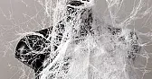 Spray-on clothing - possible aeromodelling applications  |  After watching the video, all I can think is that when you do it to an airplane,...