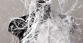 Spray-on clothing - possible aeromodelling applications  | &laquo; previous thread