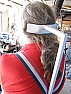 Made another whatsit |   --I've got a bum leg so when I go to events that require a lot ofhoofing I...