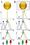 Metamerism  |  [...]Well, if you sued the same primer on both models, there shouldn't be...