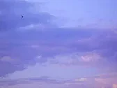 HX 'Vulcan" Electric 'Glider'  |      Anyone else have one of these cheap little wonders? I bought one in a...