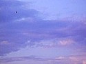 HX 'Vulcan" Electric 'Glider'  |      Anyone else have one of these cheap little wonders? I bought one in a...