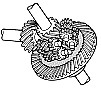 We're smart because we're constantly sniffing gears  | &laquo; previous thread
