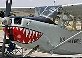Bird dog  |  Hello,I bought a piper cub with the intention of making it into a L-19 birddog. ...