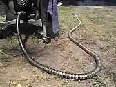 Project for a mad inventor  | next thread &raquo;