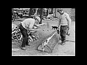 Wyginanie drewna bez podgrzewania |  W dniu 2020-02-18 o 13:12, WM pisze:  Zmienili trochę profil produkcji? :-) ...