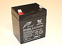 Battery question |    The 500W to 1000W size is at the upper end of how much current youcan send...