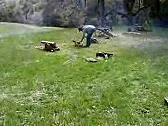 Aiming cannons | &laquo; previous thread