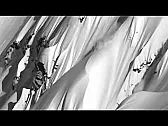 Skydiving |  Here's another static line jumper in tow situation, a sport jump in this one...