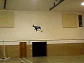 Fliegende Hexe  | &laquo; previous thread
