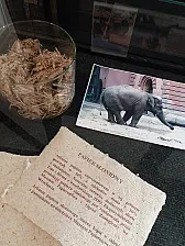 Z czego teraz robi się papier? |  Obstawiam, że jakość papieru wzrosła. Kiepski papier to papier ledwie ...