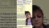 Sensorium of a proposed Standard Model of AGI |  Until OpenCog or some other excellent AGI project takes the lead, Project...