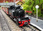 Newbie Garden Railway  |  Hello chaps,The usual apologies if this has already been said and done before,...