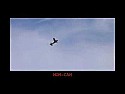 Knife edge landing  |  Here's the original Bill Hemple...