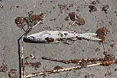 Metalworking | &laquo; previous thread
